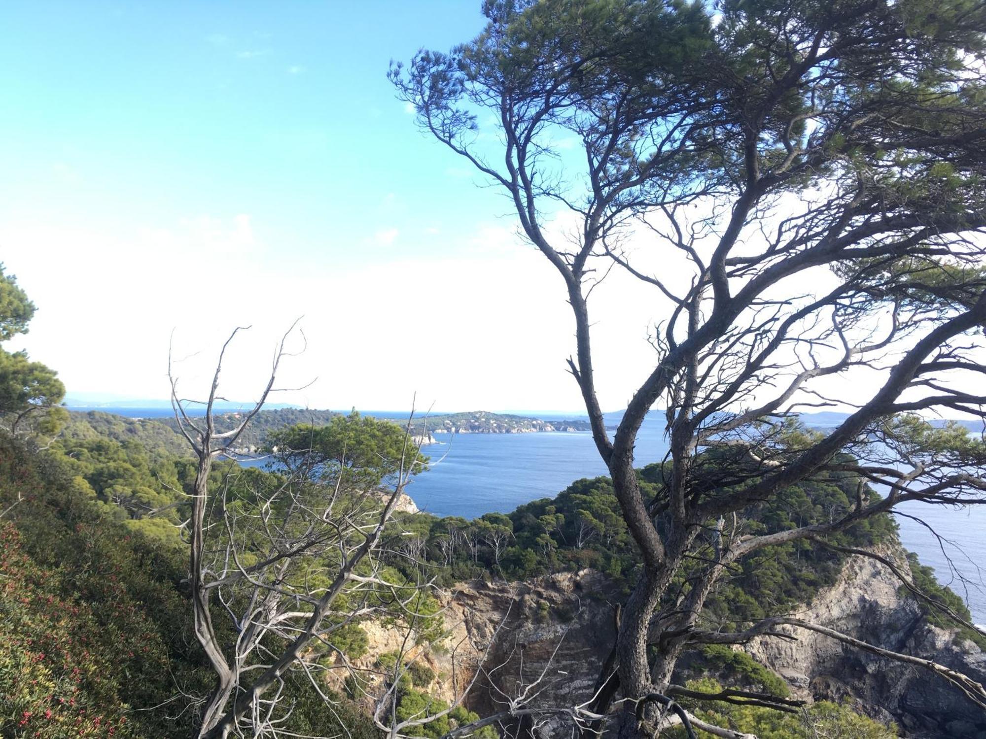 L Annexe Des Sables Villa Hyères Exteriör bild